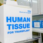 Patients could be saved by organs from donors with HIV